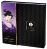 Naughty geisha kit